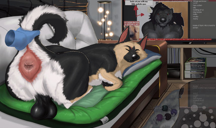 anatomically_correct anatomically_correct_anus anatomically_correct_genitalia anus big_anus big_butt black_body black_fur butt cheek_tuft chew_toy claws clothing disembodied_hand dog_bed electronics facial_markings facial_tuft feral floating floating_hands fluffy fluffy_chest fluffy_ears fluffy_tail fur furniture genitals ghost_hand gloves handwear head_markings holding_tail markings neck_tuft pet_bed pillow presenting presenting_anus presenting_balls presenting_hindquarters quadruped raised_tail raphe_(anatomy) sleeping smile smirk sofa tail tan_body tan_fur television text toy tuft white_body white_fur hazed01 microsoft mythology xbox xbox_360 xbox_game_studios ryan_(ry_the_shep) vincent_vann_valentine canid canine canis domestic_dog german_shepherd herding_dog mammal mythological_canine mythological_creature pastoral_dog werecanid werecanine werecreature werewolf absurd_res english_text hi_res meme