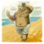 anthro beach belly bottomwear clothing eyewear male moobs navel nipples outside overweight overweight_anthro overweight_male seaside shorts solo sunglasses text water spazz_bear bear mammal 1:1 2018 absurd_res hi_res