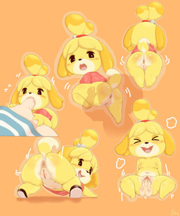all_fours aloha_shirt anal anthro anthro_penetrated anus balls blush bodily_fluids body_blush bottomless breasts butt butt_blush chibi clothed clothing duo dwarfism eyes_closed faceless_character faceless_male fellatio female female_focus female_penetrated footwear genital_fluids genitals human_on_anthro human_penetrating human_penetrating_anthro interspecies kemono looking_back looking_pleasured male male/female male_penetrating male_penetrating_female multiple_positions nipples nude open_mouth open_smile oral oral_penetration pattern_clothing pattern_shirt pattern_topwear penetration penile penile_penetration penis penis_in_vagina presenting presenting_hindquarters rimming sex shirt shoes shortstack smile solo_focus thick_thighs topwear vaginal vaginal_fluids vaginal_penetration vulva yellow_body sake_kemosalmon animal_crossing nintendo isabelle_(animal_crossing) canid canine canis domestic_dog human mammal shih_tzu toy_dog 2021 absurd_res hi_res multiple_images