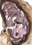 ambiguous_gender ambiguous_pred animal_genitalia animal_penis anthro anthro_prey balls black_body black_fur bodily_fluids canine_genitalia canine_penis duo erection faceless_anthro faceless_character faceless_male fangs fur genitals in_mouth knot lying male male/ambiguous mouth_shot nude on_front open_mouth oral_vore penis pink_tongue saliva saliva_on_leg saliva_on_tongue saliva_string simple_background tan_body tan_fur teeth tongue vore white_background white_balls white_body white_fur kola_(artist) canid canine mammal hi_res traditional_media_(artwork)