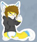 blue_fur brown_hair canine cat chibi claws clothing digital_art feline female fluffy fox fur grumpy hair hoody hybrid lexii lexii_(character) mammal offencive_gesture orange_fur piercing plain_background snake_bites solo
Rating: Safe
Score: 1
User: Lexii
Date: April 09, 2014