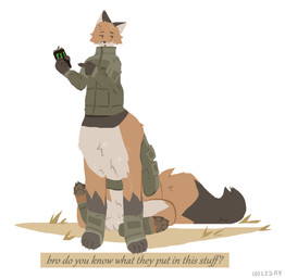 animal_genitalia balls bottomless cheek_tuft clothed clothing dialogue facial_tuft feet flaccid fur genitals gesture grass hand_gesture head_tuft hindpaw jacket looking_at_viewer male on_grass on_ground open_mouth orange_body orange_fur outside partially_clothed paws penis plant pointing sheath sitting solo text topwear tuft conditional_dnp holidaydipstick monster_energy dipstick_(holidaydipstick) canid canid_taur canine canine_taur fox fox_taur mammal mammal_taur taur 2020 digital_media_(artwork) english_text hi_res nonbinary_(lore)