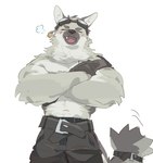 anthro big_muscles biped crossed_arms eyewear eyewear_on_head fur goggles goggles_on_head grey_body grey_fur male muscular muscular_anthro muscular_male solo white_body white_fur l0sskim canid canine canis mammal wolf 2024 hi_res