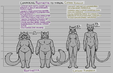 anthro big_breasts breasts broad_shoulders female genitals group male penis slightly_chubby slim stocky text thick_thighs vulva whiskers wide_hips amadboii microsoft the_elder_scrolls cathay felid khajiit mammal riftcat_(amadboii) english_text