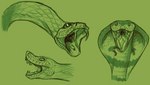 ambiguous_gender buccinator fangs forked_tongue front_view glistening glistening_eyes glottis looking_at_viewer mouth_shot open_mouth scales snake_hood solo striped_body stripes teeth tongue tongue_out tongue_sheath skyelegs reptile scalie snake monochrome