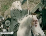 biped cursed_image duo face_swap feral for_a_head ganhorse hair horseback horsedalf humor long_beard long_hair magic_user male mane parody quadruped riding switched what what_has_magic_done where_is_your_god_now white_hair why third-party_edit unknown_artist j._r._r._tolkien middle-earth_(tolkien) something_awful the_lord_of_the_rings gandalf_the_grey animal_head animal_humanoid equid equine horse humanoid mammal grandfathered_content half-length_portrait photo_manipulation photography_(artwork) portrait