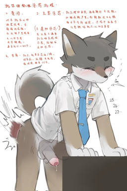 adolescent anthro badge balls bent_over blue_necktie blush blush_lines bodily_fluids bottomless bottomless_anthro butt_slap cheek_scar circle_eyebrows clenched_eyes clenched_teeth clothed clothing corporal_punishment countershading counting disembodied_hand duo eyebrows eyes_closed facial_scar fingers fur genital_fluids genitals gloves_(marking) grey_body grey_eyebrows grey_fur handjob humanoid_genitalia humanoid_penis impact_lines leaking_precum male markings necktie paddle_spanking pain penile penis precum raised_inner_eyebrows raised_tail scar school_uniform sex shirt simple_background slap solo solo_focus spanking tail teary_eyes teeth text topwear uniform white_background white_clothing white_shirt white_topwear young young_anthro young_male laggy_(artist) kyle_(laggy) canid canine canis coyote mammal 2025 chinese_text hi_res translated