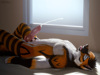 animal_genitalia animal_penis anthro balls biped black_body black_fur black_hair blue_eyes bodily_fluids canine_genitalia canine_penis clothing cum cum_in_mouth cum_in_own_mouth cum_in_self cum_inside cum_on_face cum_on_own_face cum_on_self cumshot ejaculation erection fangs fur genital_fluids genitals hair hand_on_knot inside knot leg_warmers legwear legwear_only looking_pleasured lying male male_anthro masturbation multicolored_body multicolored_fur nude on_back open_mouth orange_body orange_fur orange_hair orgasm pecs penile penile_masturbation penis solo teeth tongue tongue_out whiskers white_body white_fur window virtyalfobo caiuslupus canid canine mammal maned_wolf 2022 4:3 absurd_res digital_media_(artwork) hi_res nonbinary_(lore)