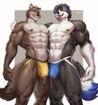 abs anthro big_bulge black_body black_fur black_hair blue_hair bodily_fluids brown_body brown_fur bulge clothed clothing detailed_bulge dripping duo floppy_ears fur genital_fluids genital_outline grin hair highlights_(coloring) jockstrap jockstrap_only looking_at_viewer male male/male muscular muscular_anthro muscular_male nipples obliques pecs penis_outline precum precum_drip precum_through_clothing precum_through_jockstrap smile teeth tongue tongue_out topless underwear underwear_only wet wet_clothing white_body white_fur amon-sydonai dreamworks the_bad_guys mason_(trivolmckenley) mr._wolf_(the_bad_guys) border_collie canid canine canis collie domestic_dog herding_dog mammal pastoral_dog sheepdog wolf hi_res