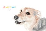 ambiguous_gender black_nose brown_eyes feral fur realistic simple_background snout solo teeth white_background alunka real_world canid canine canis domestic_dog mammal