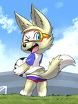 ball blue_eyes butt clothing eyewear male mascot one_eye_closed russian_flag soccer_ball solo underwear wink lkiws fifa zabivaka canid canine canis mammal wolf hi_res