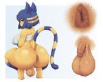 anthro anus backsack balls big_balls big_balls_small_penis big_breasts big_butt blue_ears blue_hair blue_markings bob_cut bodily_fluids bottomless bottomless_anthro bottomless_gynomorph bottomless_intersex breasts butt chest_wraps clothed clothed_anthro clothed_gynomorph clothed_intersex clothing crouching detailed_anus disproportionate_genitalia flaccid foreskin fur genitals gynomorph hair half-closed_eyes huge_butt humanoid_genitalia humanoid_penis intersex looking_at_viewer looking_back markings mole_(marking) mole_on_ball mole_on_butt narrowed_eyes partially_retracted_foreskin penis perineum raised_tail simple_background small_penis solo striped_markings striped_tail stripes sweat sweaty_anus sweaty_balls sweaty_butt sweaty_genitalia tail tail_markings thick_thighs uraeus white_background wide_hips wraps yellow_body yellow_fur yxxzoid animal_crossing nintendo ankha_(animal_crossing) domestic_cat felid feline felis mammal absurd_res hi_res