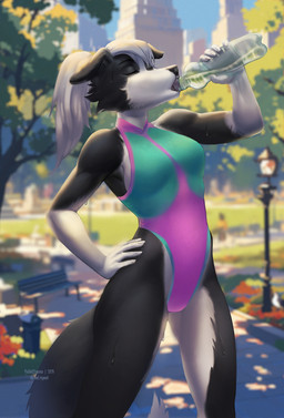 anthro bodily_fluids bottle breasts clothed clothing container drinking drinking_water eyes_closed female fingers fur hair holding_bottle holding_container holding_object leotard outside park plant side_boob solo standing sweat sweatdrop tail tree water water_bottle fjollettigeren ren_collie border_collie canid canine canis collie domestic_dog herding_dog mammal pastoral_dog sheepdog digital_media_(artwork) hi_res