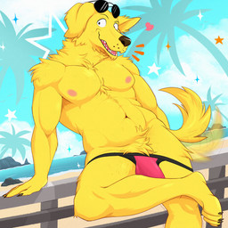 4_toes anthro arm_tuft bar_emanata beach bent_leg biped black_clothing black_eyebrows black_eyes black_underwear body_hair brown_nose bulge chest_hair claws clothed clothed_anthro clothed_male clothing detailed_background detailed_bulge emanata eyebrows eyewear eyewear_on_head fangs feet finger_claws fingers floppy_ears fluffy fluffy_tail fur heart_symbol looking_at_viewer male male_anthro multicolored_clothing multicolored_underwear muscular muscular_anthro muscular_male navel nipples open_mouth open_smile palm_tree pecs pink_clothing pink_underwear plant pubes sand sea shoulder_tuft smile solo sparkles sunglasses sunglasses_on_head tail tail_motion tailwag teeth text thin_eyebrows toes tree tuft underwear underwear_only water yellow_body yellow_fur yellow_tail isaacyote bojack_horseman netflix mr._peanutbutter bird_dog canid canine canis domestic_dog hunting_dog mammal retriever 1:1 2025 artist_name digital_media_(artwork) hi_res watermark