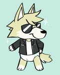 anthro blue_background chibi clean_diaper clothed clothing diaper eyewear fur glasses hand_on_hip jacket leather leather_clothing leather_jacket leather_topwear male shirt simple_background smile solo standing topwear wearing_diaper white_body white_fur yellow_body yellow_fur slusheep animal_crossing nintendo canid canine canis mammal wolf 2020