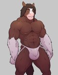 abs anthro balls_outline biceps big_bulge bulge clothed clothing detailed_bulge genital_outline jockstrap male mostly_nude muscular muscular_anthro muscular_male nipples pecs penis_outline simple_background smile solo standing topless underwear white_background knuxlight equid equine horse mammal