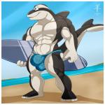 abs anthro beach biceps big_muscles blue_eyes border bulge clothed clothing detailed_background male muscular muscular_anthro muscular_male outside pecs sand sea seaside sky smile solo speedo standing stripper surfboard surfer swimwear topless vehicle water watercraft white_border aaron_(artist) kai_wheatley cetacean dolphin hourglass_dolphin mammal marine oceanic_dolphin toothed_whale 1:1 2017 hi_res