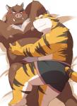 anthro anthro_on_anthro bedding blush boxer_briefs clothing duo embarrassed hug male male/male muscular muscular_male nipples overweight overweight_male pecs simple_background underwear white_background ayame42612 felid mammal pantherine suid suine sus_(pig) tiger wild_boar