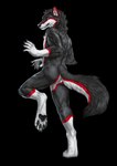 anthro black_body black_fur black_pawpads butt fur male pawpads raised_leg red_body red_fur solo white_body white_fur felfi rogueliger blackie_wolf canid canine canis mammal wolf alpha_channel artist_collaboration hi_res