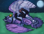 2011 avian beak collar feathered_wings feathers female feral genitals gryphon isil jaelyn_(character) legs_up lying moon mythological_avian mythological_creature mythology night on_back outside purple_body pussy quadruped sky solo star starry_sky wings