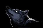 2015 ambiguous_gender black_and_white black_background blackteagan canid canine canis feral glowing glowing_eyes mammal monochrome simple_background solo wolf
