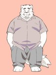 anthro bottomwear clothing facial_hair kemono male mature_male mustache overweight overweight_male pants shirt simple_background solo topwear inunoshippo canid canine canis domestic_dog mammal 2024 3:4 hi_res