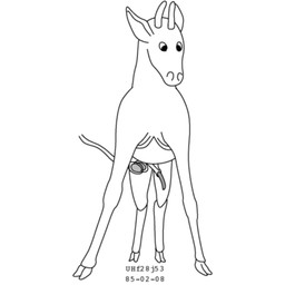 2_horns animal_genitalia balls castration cloven_hooves cock_and_ball_torture duo erection feral forced_castration genital_mutilation genital_torture genitals hooves horn male mutilation quadruped sheath simple_background standing unguligrade white_background urbanhermit deer mammal unknown_species 1985 1:1 black_and_white monochrome