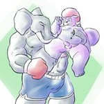 anthro balls belly big_penis clothing duo erection genitals humanoid_hands male male/male moobs musclegut muscular overweight overweight_male penis scared underwear young young_anthro cottoncandycoon elephant elephantid mammal proboscidean procyonid raccoon 1:1 2011