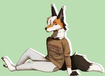 anthro clothing fluffy fluffy_tail fur hair looking_away male outline shirt sitting solo tail text text_on_clothing text_on_shirt text_on_topwear topwear runelocks canid canine fox mammal digital_media_(artwork) english_text hi_res