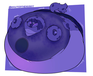 ambiguous_gender anthro belly blue_body blue_fur blue_hair blueberry_inflation blush body_inflation clothed clothing fur hair immobile inflation lying markings motion_lines on_front solo spherical_inflation spots spotted_body spotted_fur swollen_cheeks text tight_clothing torn_clothing baxterthehusky hyena mammal spotted_hyena 2025 absurd_res artist_name hi_res
