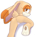 anus barefoot butt feet female genitals long_ears looking_at_viewer nude pussy rear_view smile smiling_at_viewer solo young rgdrwz sega sonic_the_hedgehog_(series) cream_the_rabbit humanoid lagomorph leporid mammal rabbit digital_media_(artwork) hi_res