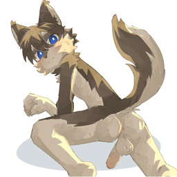 5_fingers anthro anus balls blue_eyes blush blush_lines bodily_fluids body_blush brown_body brown_fur brown_hair brown_inner_ear_fluff butt chest_tuft claws ear_tuft erection eyebrows facial_tuft finger_claws fingers fluffy fluffy_tail foreskin fur genitals hair humanoid_genitalia humanoid_penis inner_ear_fluff kemono kneeling looking_at_viewer male male_anthro multicolored_body multicolored_fur nude_anthro nude_male penis penis_blush perineum pink_anus presenting presenting_hindquarters simple_background solo sweat sweatdrop tail tan_balls tan_body tan_eyebrows tan_fur tan_penis tuft two_tone_body two_tone_fur white_background white_inner_ear young young_anthro young_male regcron canid canine mammal 1:1 2026 hi_res