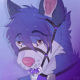 ambiguous_gender anthro ball_gag bdsm blush bodily_fluids bondage bound breathable_gag collar drooling gag gagged hair looking_at_viewer muzzle_(object) muzzle_gag muzzled saliva simple_background slave solo submissive samuelwolfo canid canine canis domestic_dog mammal wolf 1:1