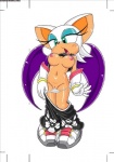 anthro blush bottomwear breasts clothed clothing female footwear genitals gloves green_eyes handwear mature_anthro mature_female membrane_(anatomy) membranous_wings navel nipples panties pants partially_clothed pussy shoes solo sportswear underwear wings michiyoshi furry_bomb sega sonic_the_hedgehog_(series) rouge_the_bat bat mammal