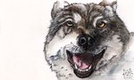 ambiguous_gender black_nose brown_eyes fangs feral front_view fur grey_body grey_fur logo looking_at_viewer open_mouth simple_background solo teeth whiskers white_background white_body white_fur yellow_sclera kola_(artist) canid canine mammal 2015 5:3 artist_logo dated signature