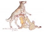 anatomically_correct anatomically_correct_genitalia anatomically_correct_penis animal_genitalia animal_penis anthro anthro_on_feral balls bestiality blonde_hair breasts brown_body canine_genitalia canine_penis duo fellatio female female_on_feral feral fur genitals hair interspecies knot male male/female nipples nude oral penile penis predator/prey sex simple_background text white_background proann canid canine canis deer mammal wolf colored_sketch sketch