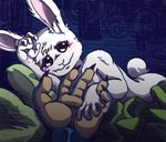 anthro duo female hand_holding larger_male male male/female size_difference smaller_female goiaba beastars haru_(beastars) legoshi_(beastars) animal_humanoid canid canine canis domestic_rabbit dwarf_rabbit humanoid lagomorph lagomorph_humanoid leporid leporid_humanoid mammal mammal_humanoid oryctolagus rabbit rabbit_humanoid wolf hi_res