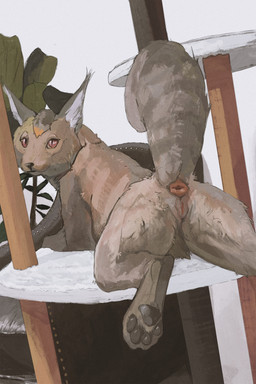 anatomically_correct anatomically_correct_genitalia anatomically_correct_vulva animal_genitalia animal_vulva anus butt ear_tuft feline_genitalia feline_vulva female feral fluffy fluffy_tail genitals looking_at_viewer looking_back looking_back_at_viewer lying on_front presenting presenting_hindquarters pupils raised_tail realistic_feral slit_pupils solo tail tail_anus tuft vulva cosmiclife korwin domestic_cat felid feline felis mammal hi_res