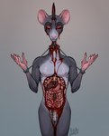 anthro biped blood bodily_fluids bone chastity_cage chastity_device corpse death fractured_bone gore grey_background guts impalement internal intestines male organs pecs punishment rib_cage simple_background snuff solo spine kolkolukija aaron_d'verse mammal murid murine rat rodent cel_shading digital_drawing_(artwork) digital_media_(artwork) hi_res shaded signature