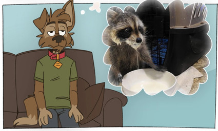 anthro bottomwear brown_body brown_fur brown_nose clothing duo fur furniture green_clothing green_shirt green_topwear grey_bottomwear grey_clothing grey_pants half-closed_eyes inside male narrowed_eyes pants shirt sitting sofa thought_bubble topwear tinydeerguy matt_riskely canid canine canis domestic_dog mammal procyonid raccoon