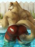 anthro blue_eyes butt clothed clothing day fur grass looking_at_viewer looking_back male outside partially_submerged pink_nose plant raised_tail rear_view red_clothing red_swimwear smile solo swimming_pool swimwear tail tan_body tan_fur tight_clothing topless water cinna-tree cougar felid feline mammal 2016 hi_res