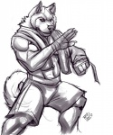 anthro fight looking_at_viewer male muscular muscular_anthro muscular_male solo sport towel rrowdybeast canid canine canis domestic_dog mammal 2012