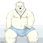 anthro belly big_belly black_nose bulge clothing fur humanoid_hands kemono male moobs navel nipples overweight overweight_male sitting solo underwear white_body white_fur mtflying30371 bear mammal polar_bear ursine 1:1 2018 hi_res