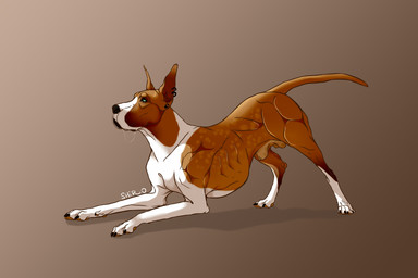 anatomically_correct anatomically_correct_balls anatomically_correct_feral anatomically_correct_genitalia animal_genitalia arms_bent ass_up balls bent_over black_claws black_ear_piercing black_ear_ring black_nose black_piercing bodily_fluids brown_background butt cast_shadow claws cropped_ears defined_muscles dewclaw digitigrade drooling ear_piercing ear_ring ears_up eyebrows feral fully_sheathed fur genitals gradient_background iris leg_markings lips looking_up male markings monotone_butt monotone_paws mouth_closed multicolored_body muscular muscular_male orange_arms orange_back orange_balls orange_body orange_butt orange_ears orange_eyebrows orange_face orange_fur orange_head orange_inner_ear orange_legs orange_neck orange_pawpads orange_sheath orange_snout orange_tail pawpads piercing pupils quadruped raised_tail realistic_feral ribs ring_piercing saliva saliva_string sheath simple_background socks_(marking) solo tail teal_eyes text thin_tail three-quarter_view two_tone_arms two_tone_body two_tone_legs two_tone_neck two_tone_snout white_arms white_body white_chest white_fur white_legs white_lips white_neck white_paws white_snout ninjadog2015 canid canine canis domestic_dog great_dane mammal mastiff molosser 2020 artist_name digital_media_(artwork) english_text hi_res