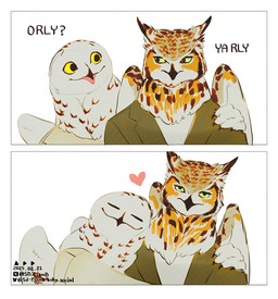 2_panel_comic annoyed anthro back_wings beak brown_body brown_feathers clothing dialogue duo eyes_closed feather_hair feather_mane feathered_wings feathers green_clothing green_jacket green_topwear hand_on_shoulder heart_symbol hug jacket looking_at_another male open_mouth pseudo_hair pseudo_mane shirt smile text topwear white_body white_clothing white_feathers white_shirt white_topwear wings yellow_eyes sd_planb o_rly ya_rly avian bird horned_owl owl snowy_owl true_owl 2025 colored comic dated english_text meme signature