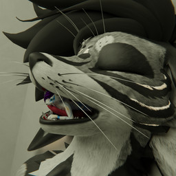 anthro duo fur male male/male markings non_fatal non_fatal_vore open_mouth vore white_body white_fur randomly_649 quilla_(quillakali) tip(mocha) rexouium 1:1 3d_(artwork) digital_media_(artwork)