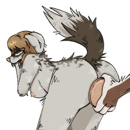 ahegao anal anal_penetration anthro blonde_hair breasts brown_body brown_fur butt buttplug buttplug_insertion duo female female_penetrated fur hair huge_buttplug looking_pleasured male male/female nipples nude penetration plug_(sex_toy) plug_insertion sex_toy sex_toy_insertion simple_background standing tail tongue white_body white_fur unknown_artist eldridge_moran marta_moran border_collie canid canine canis collie domestic_dog herding_dog mammal pastoral_dog sheepdog 1:1 hi_res