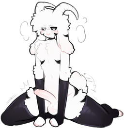 2_horns anthro armwear balls big_balls big_penis blush clothing elbow_gloves emanata erection femboy fingerless_gloves flexible fur genitals gloves handwear horn humanoid_genitalia humanoid_penis legwear male open_mouth penis scut_tail short_tail simple_background solo splits spread_legs spreading tail tail_motion tailwag thick_thighs thigh_highs white_background white_body white_fur wide_hips katsucoffee undertale undertale_(series) asriel_dreemurr_(god_form) boss_monster_(undertale) bovid caprine goat mammal digital_media_(artwork) hi_res