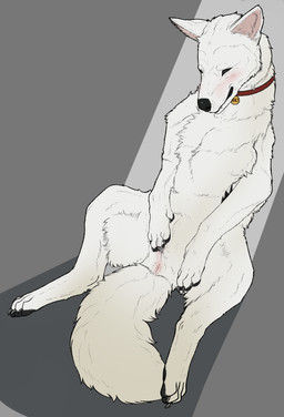 blush bodily_fluids collar eunuch feral fur genital_fluids looking_pleasured male masturbation nude nullo penectomized simple_background smile solo darama bolt_(film) disney bolt_(bolt) canid canine canis domestic_dog german_shepherd herding_dog mammal pastoral_dog hi_res