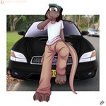 anthro car car_hood_pose claws clothed clothing dreadlocks hair male motor_vehicle solo toe_claws vehicle drxii subaru subaru_legacy_wagon lizard reptile scalie 1:1 2019 digital_media_(artwork) hi_res